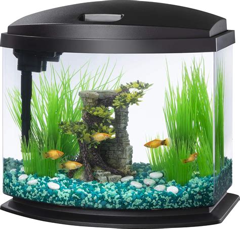 Fish Supplies .